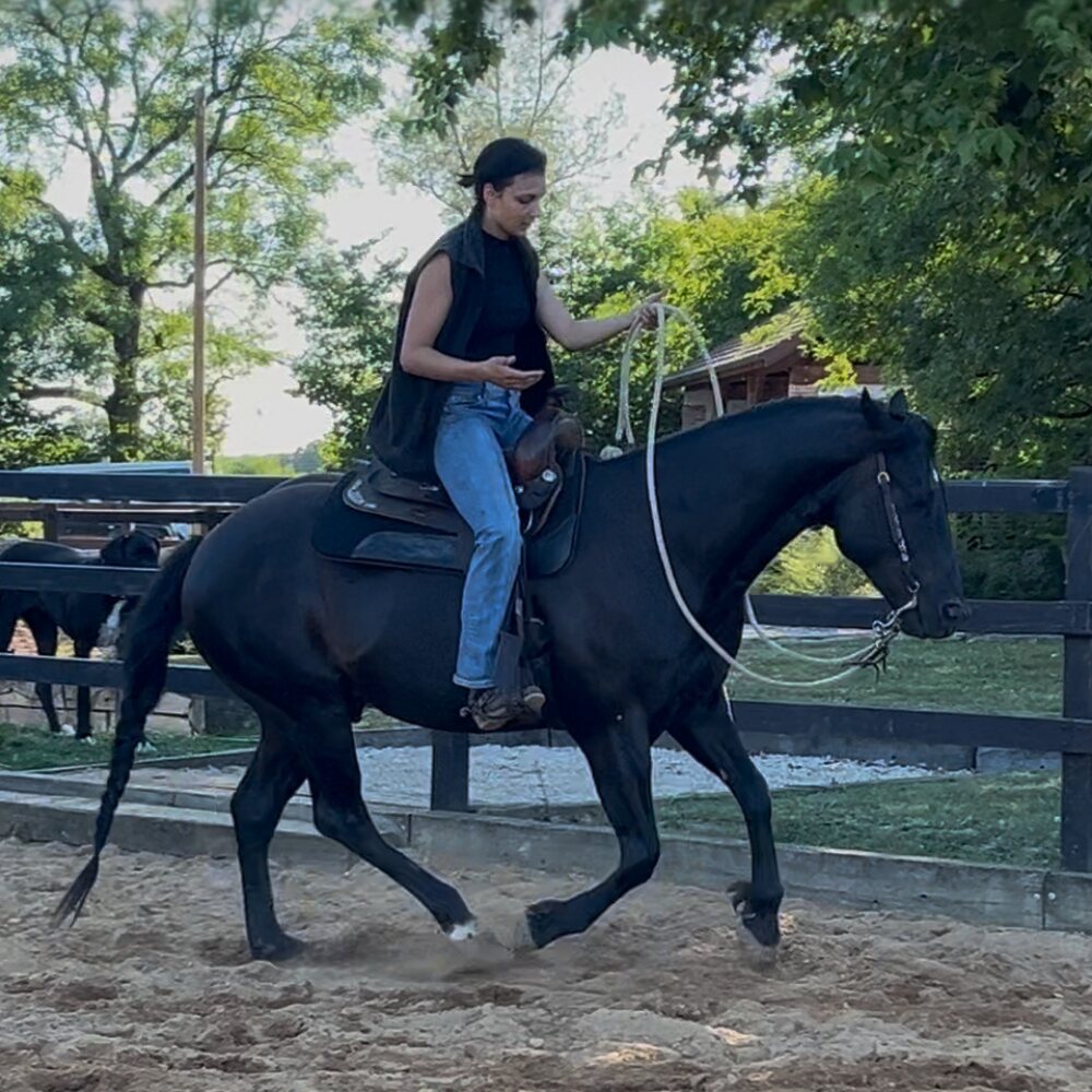 Travail de l'équilibre dans le galop