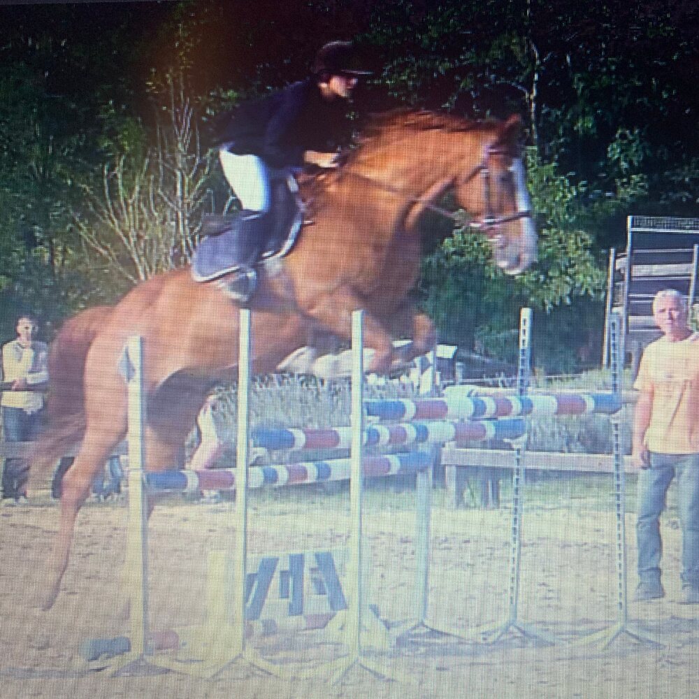 Concours, 2017