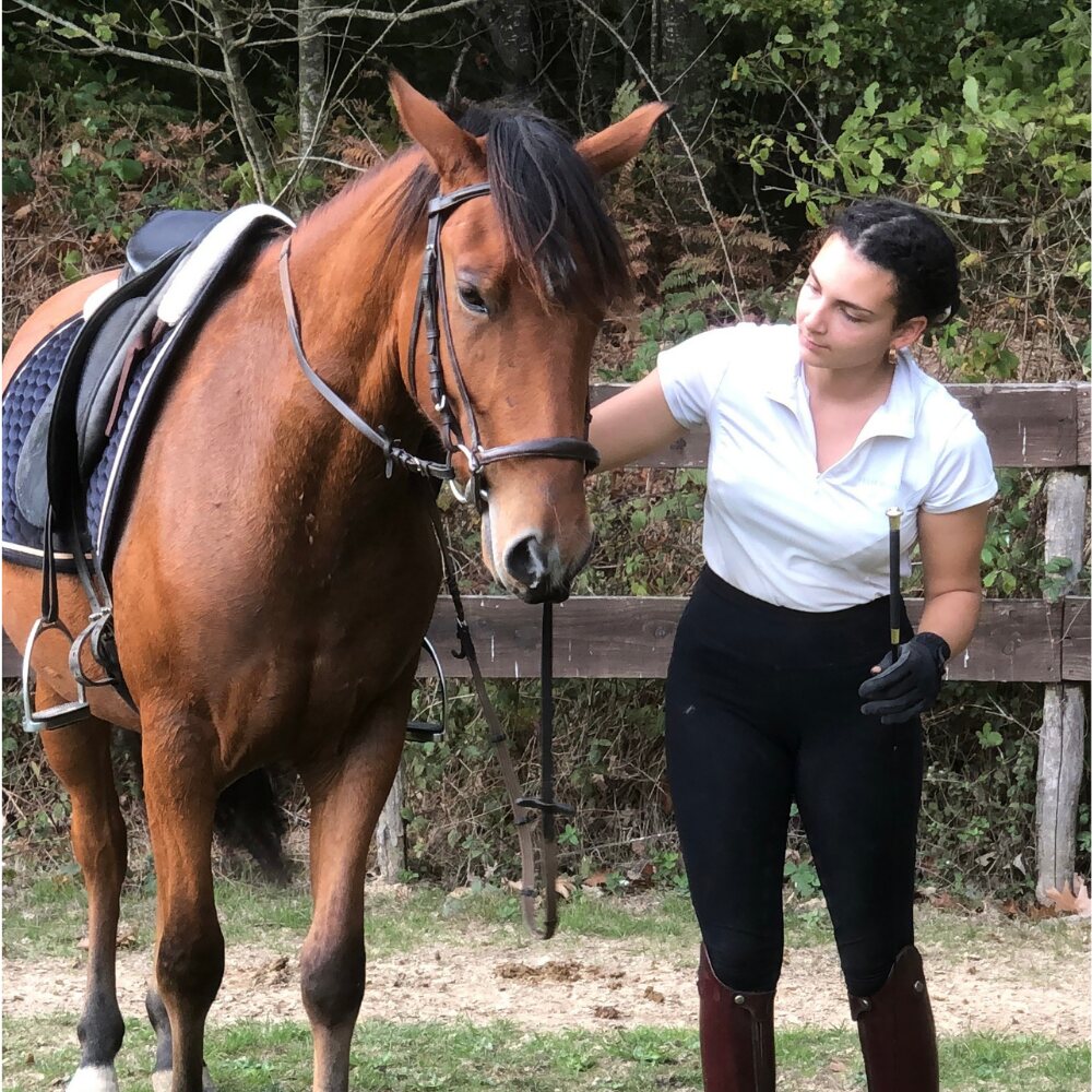 Débourrage d'un jeune cheval