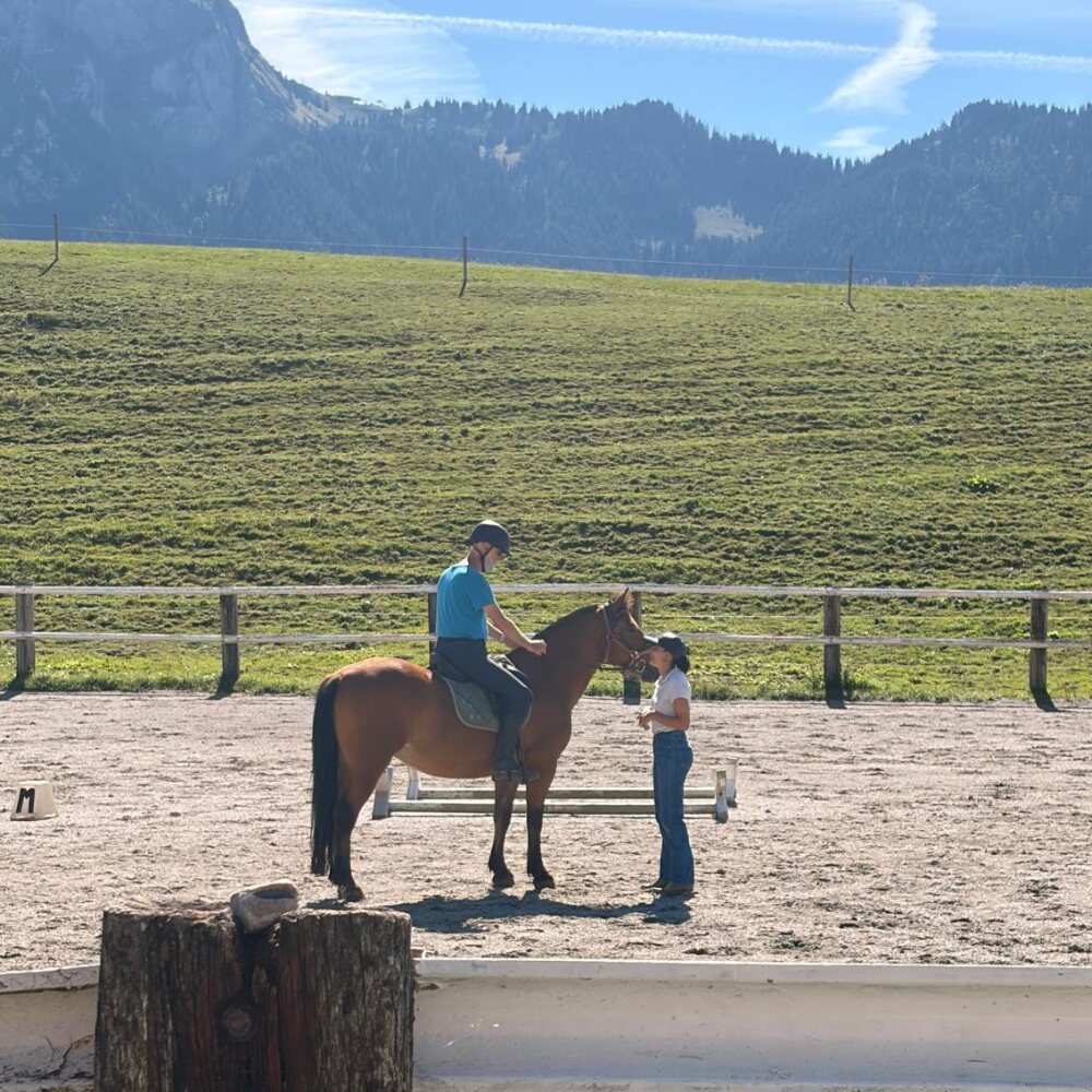 Accompagnement d'un cavalier et de son cheval